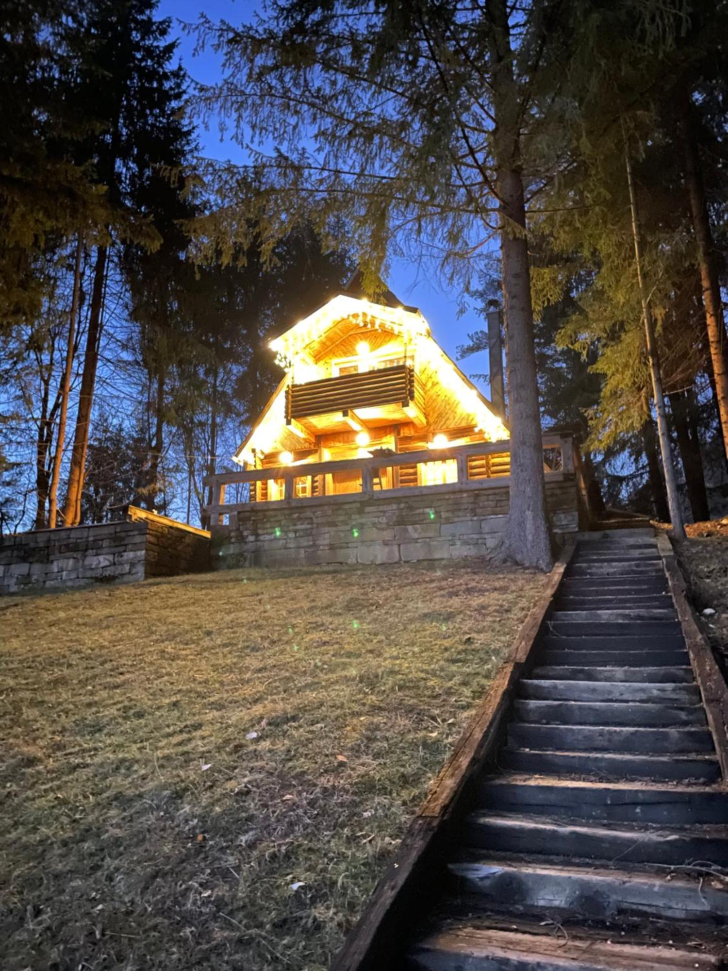 Cabana Craita Vişeu de Sus Exterior foto